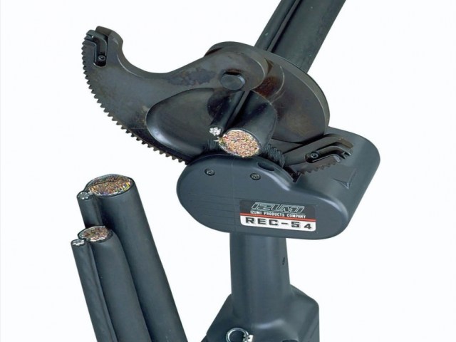 May cat IZUMI REC-54